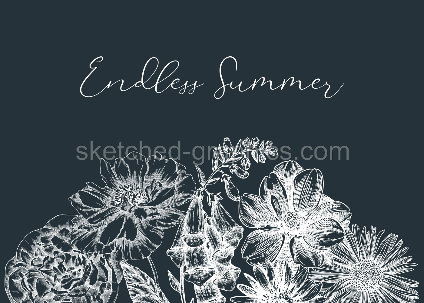 Summer flowers borders in vintage style. Hand-sketched garden plants design on chalkboard. For greeting cards, wedding invites, and banners. Hand-drawn botanical illustration with floral sketches. Illustration